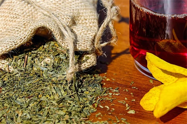 Antiviral Plants: What Science Really Says (and How to Grow Them)