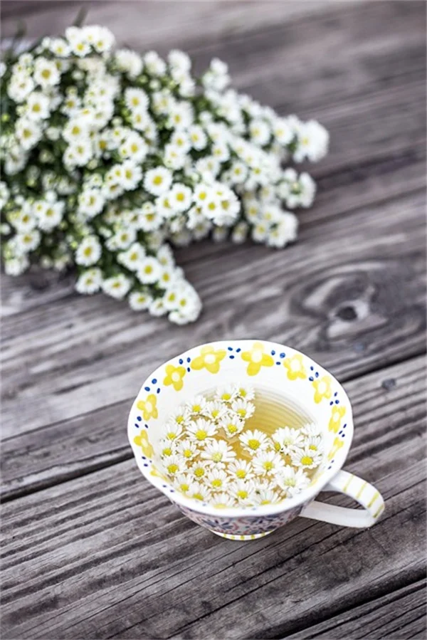 Pacific Northwest Perennial Flowers: 3 Common Mistakes to Avoid